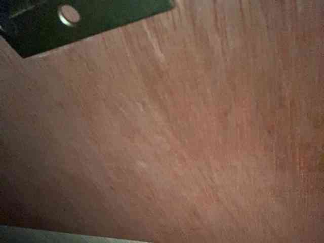 Rainie webcam