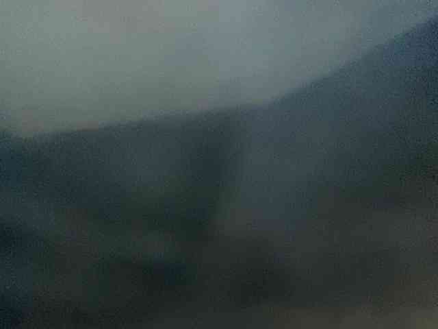 Rainie webcam