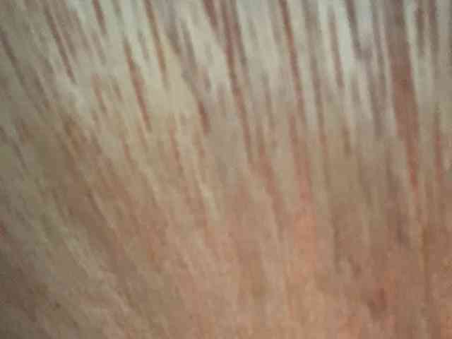 Rainie