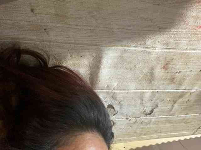 Rainie webcam