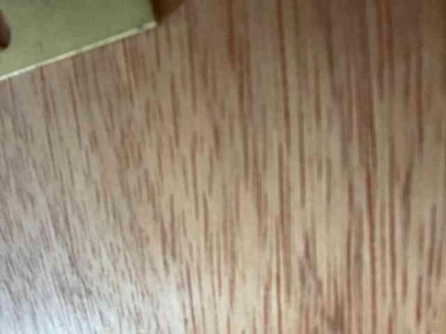 Rainie webcam