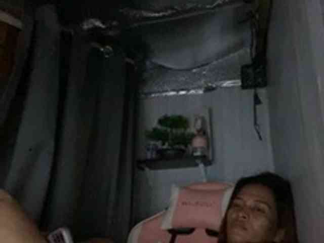 rainie's live room