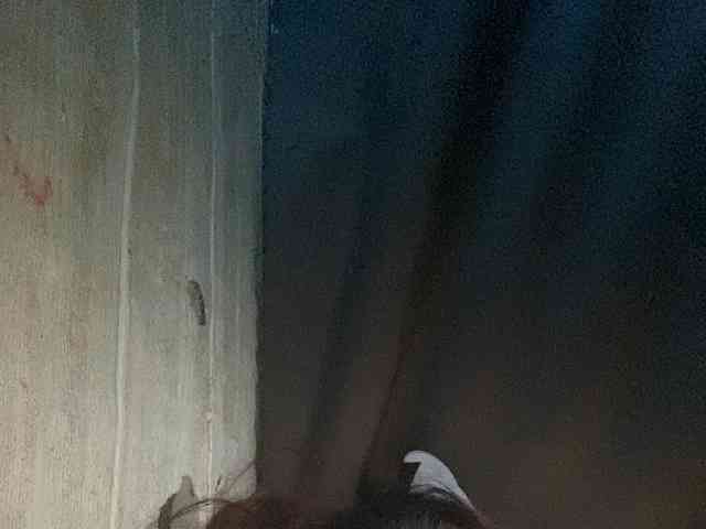 Rainie webcam