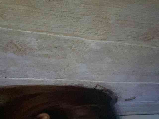 Rainie webcam