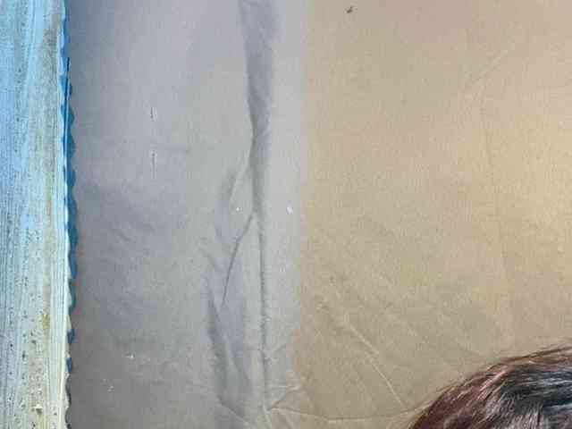 Rainie webcam
