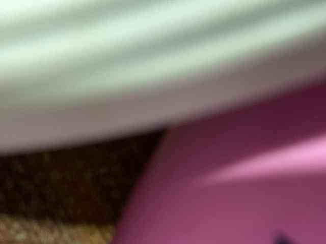 Rainie webcam