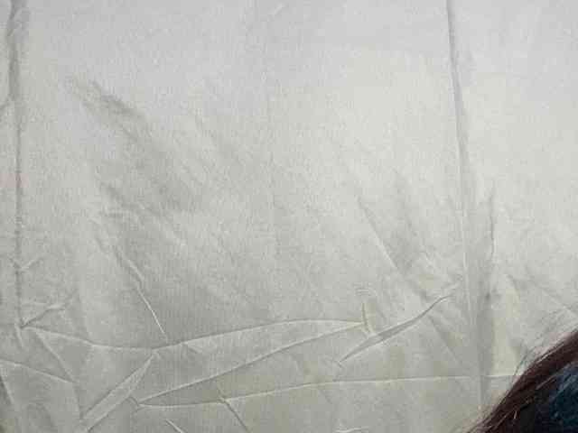 Rainie webcam