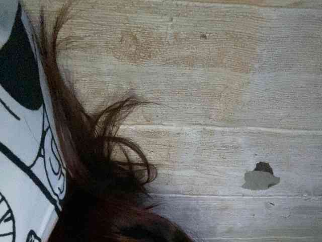 Rainie webcam