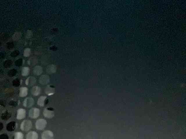 Rainie webcam