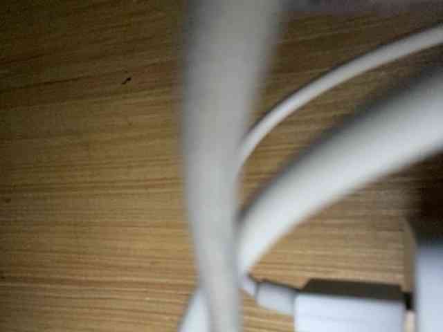 Rainie webcam