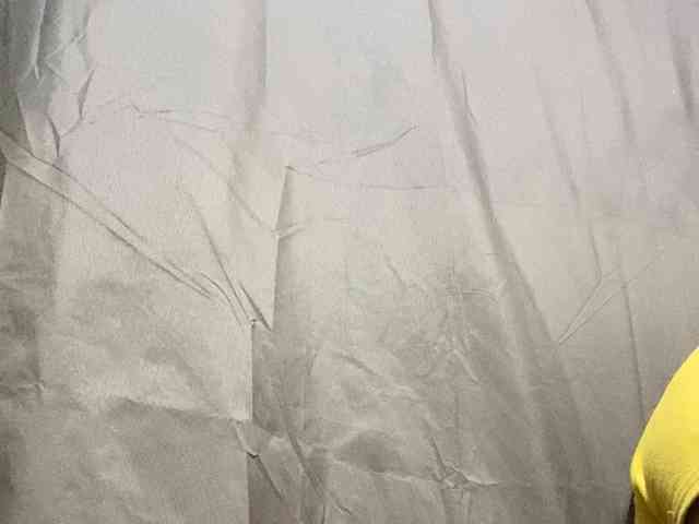 Rainie webcam
