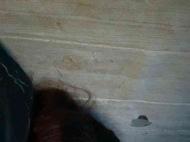 Rainie webcam