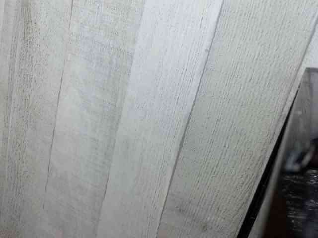 Rainie webcam