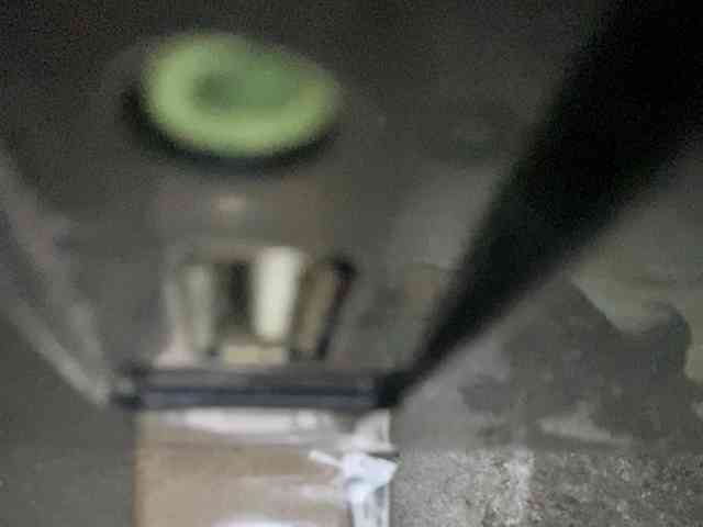 Rainie webcam