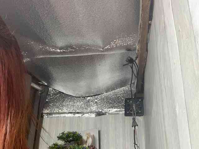 Rainie webcam