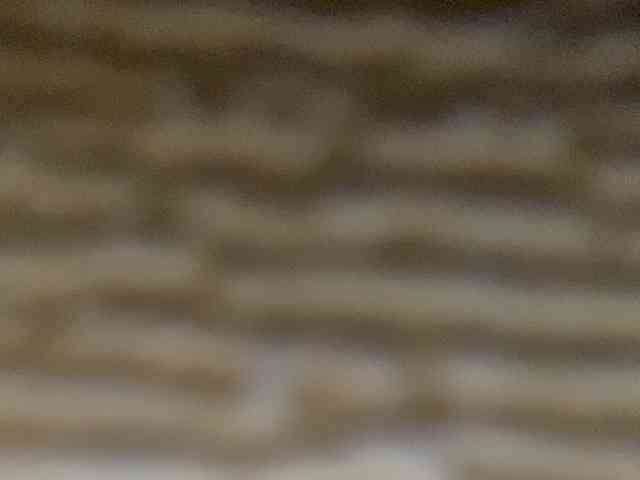 Rainie webcam