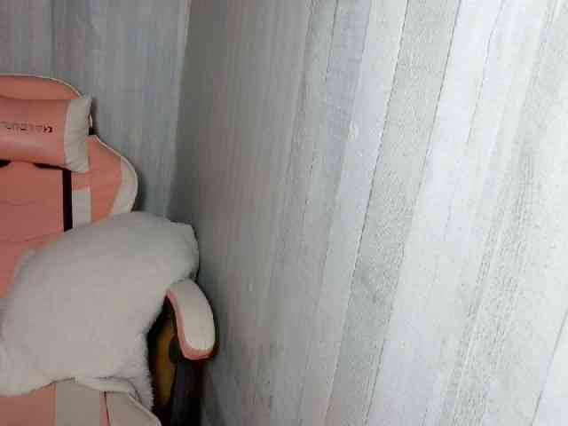 Rainie webcam