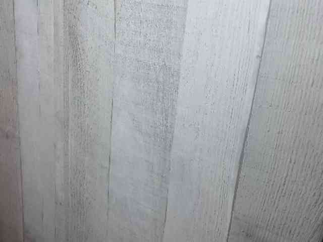 Rainie webcam