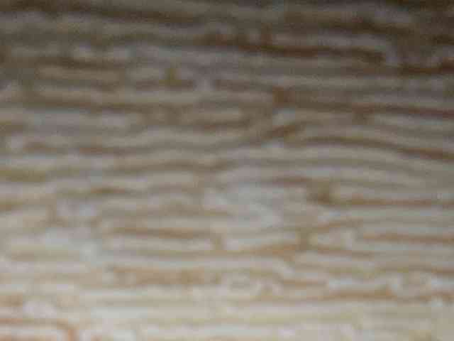 Rainie