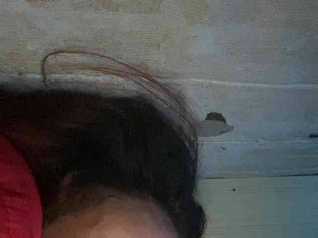 Rainie webcam
