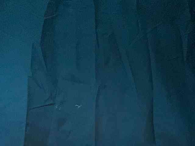 Rainie webcam