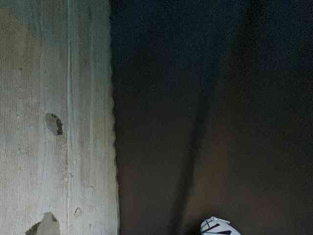 Rainie webcam