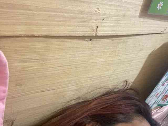 Rainie webcam