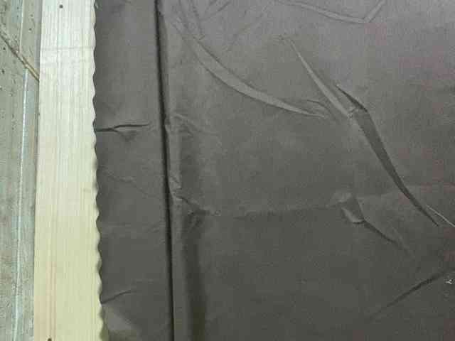 Rainie webcam