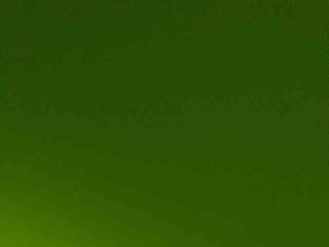 Rainie webcam