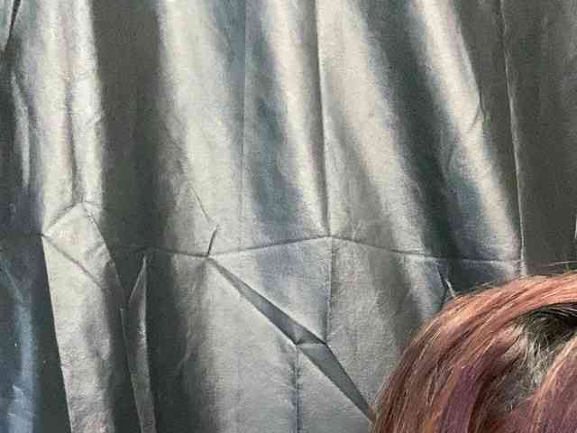 Rainie webcam