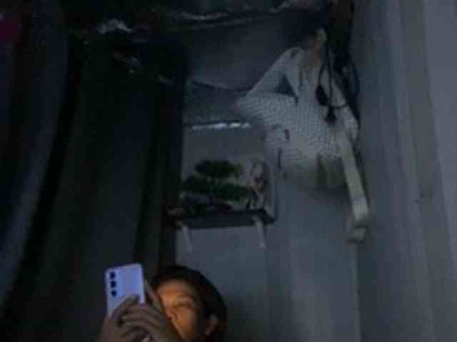 Rainie webcam