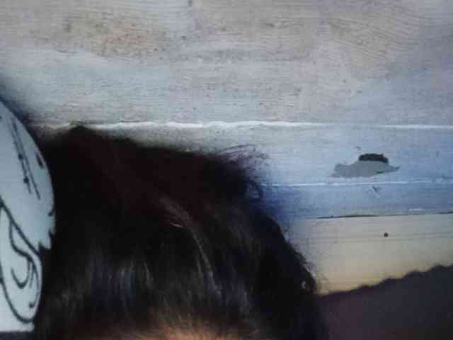 Rainie webcam
