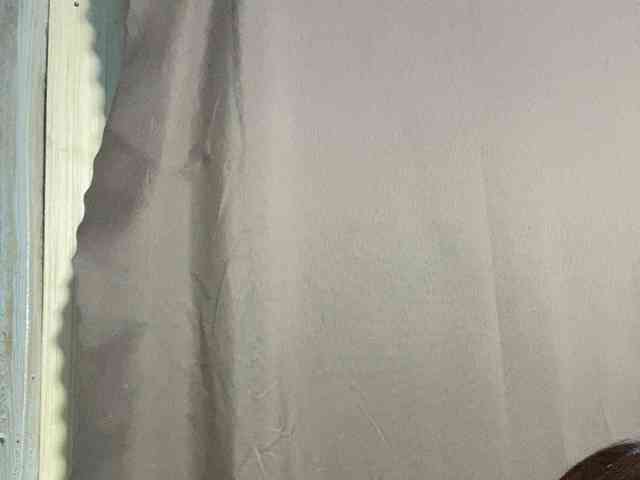 Rainie webcam