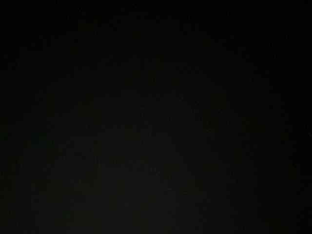 Rainie webcam