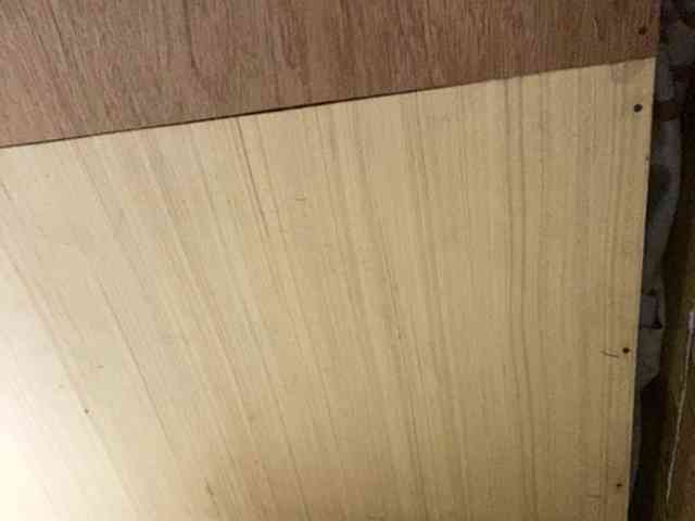 Rainie webcam