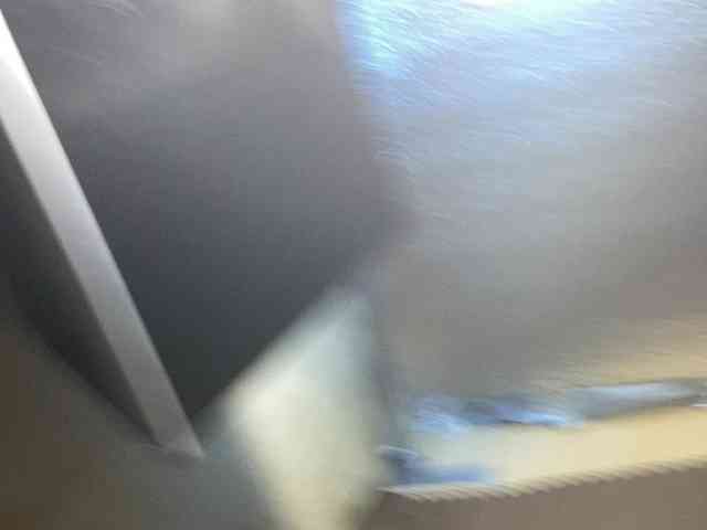 Rainie webcam