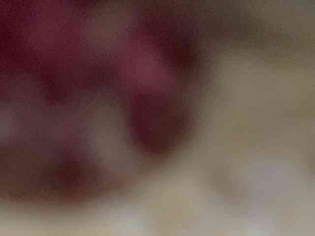 Rainie webcam