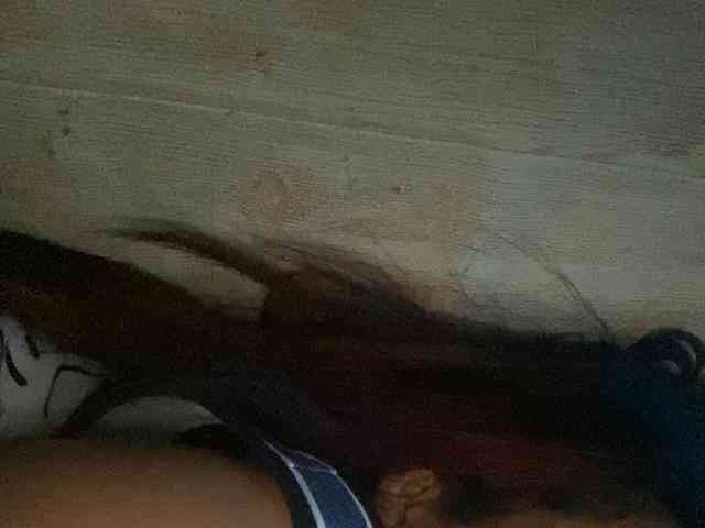 Rainie webcam