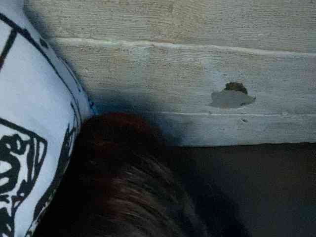 Rainie webcam