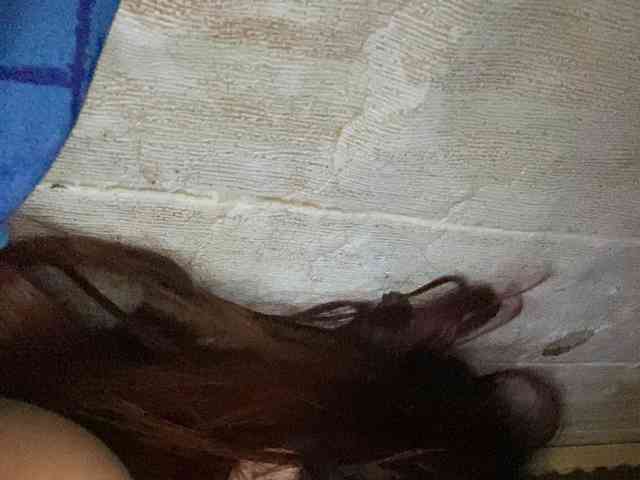 Rainie