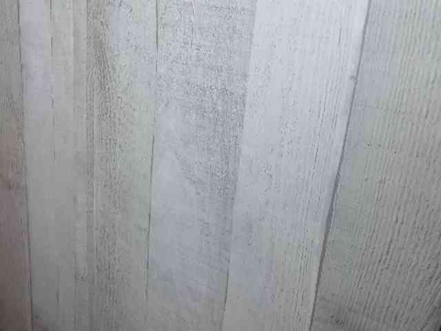 Rainie webcam