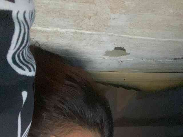 Rainie webcam