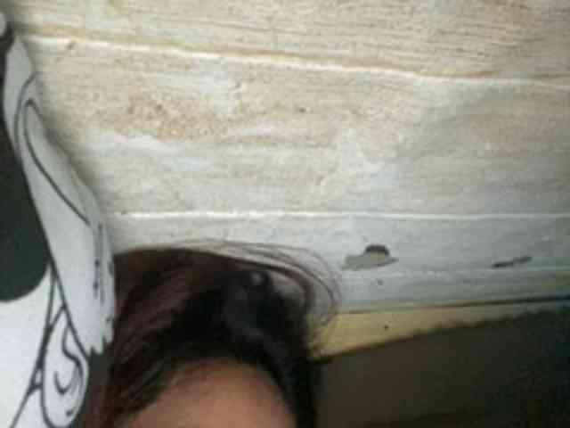 Rainie