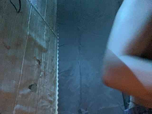 Rainie webcam