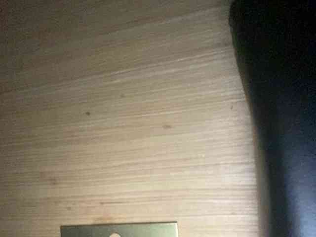 Rainie webcam