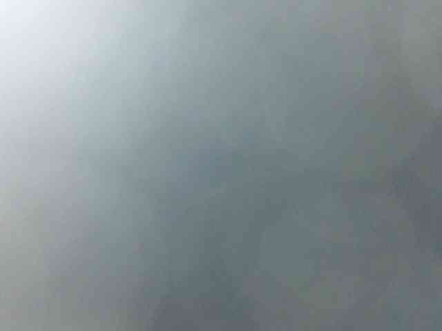 Rainie webcam
