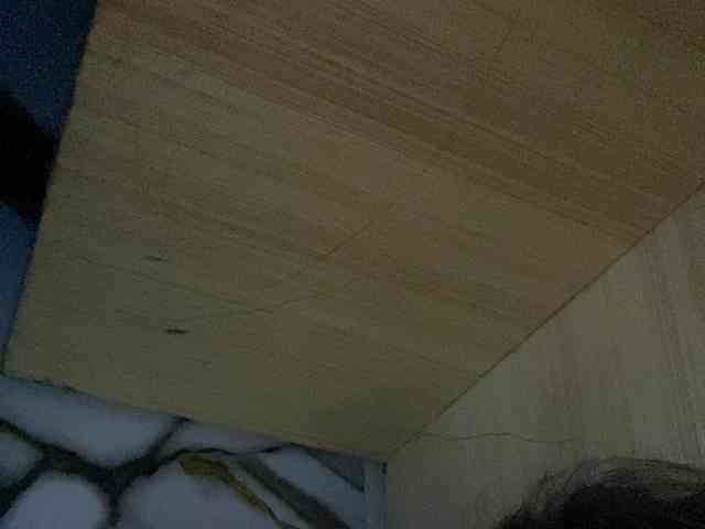 Rainie webcam