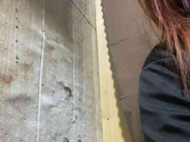 Rainie webcam