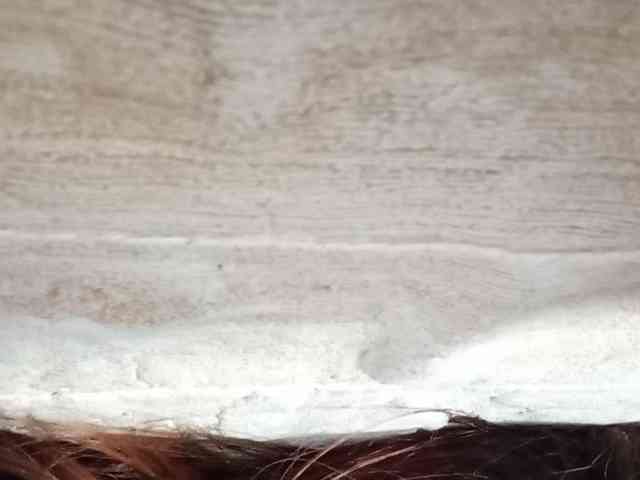 Rainie webcam