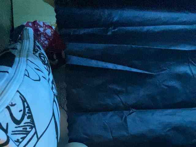 Rainie webcam